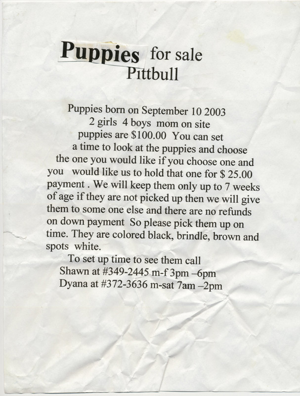 missing pet flyers outsider